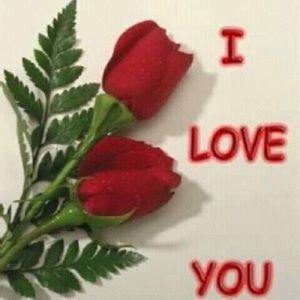 Meet your Posher, Idle